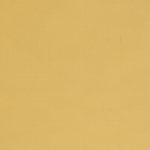 Pastel Yellow