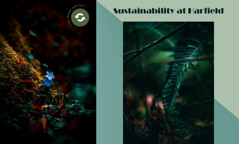 Sustainability at Harfield